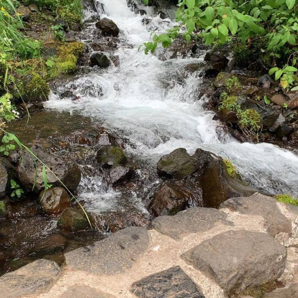 Meet your Posher, Terri